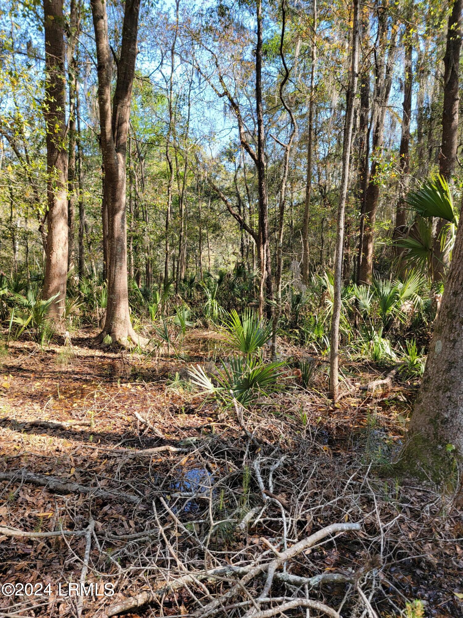 980 Sams Point Road Beaufort, SC 29907 - Photo 11 of 20 20240319_160028