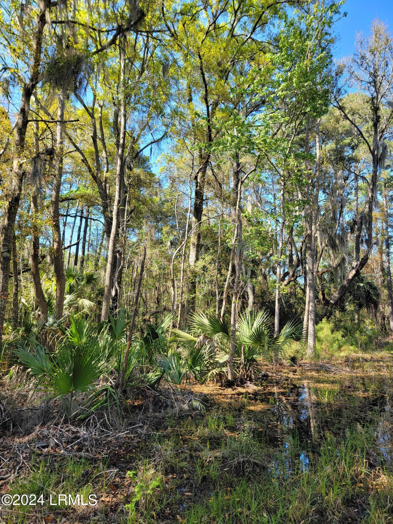 980 Sams Point Road Beaufort, SC 29907 - Photo 13 of 20 20240319_155948