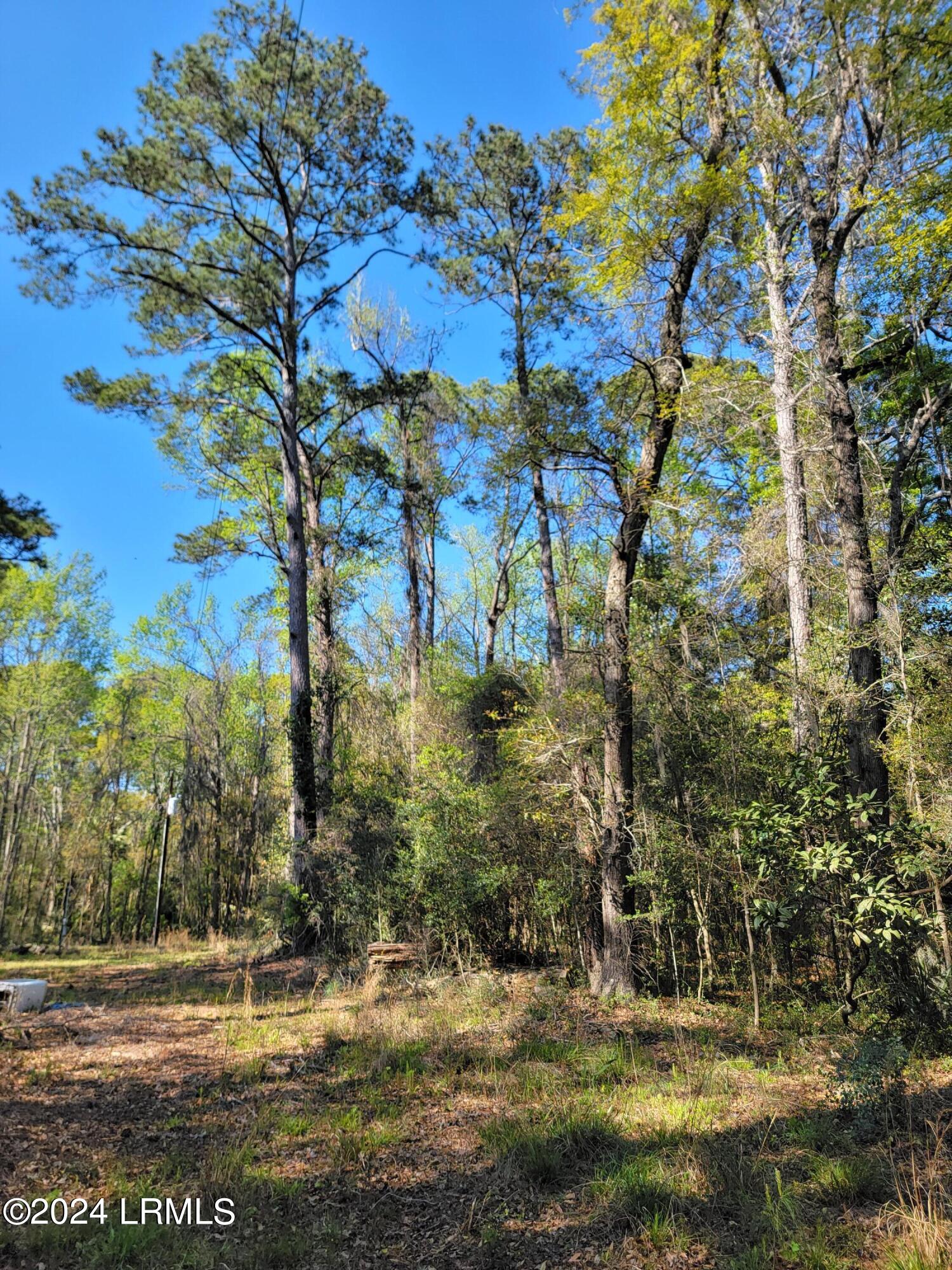 980 Sams Point Road Beaufort, SC 29907 - Photo 3 of 20 20240319_155800