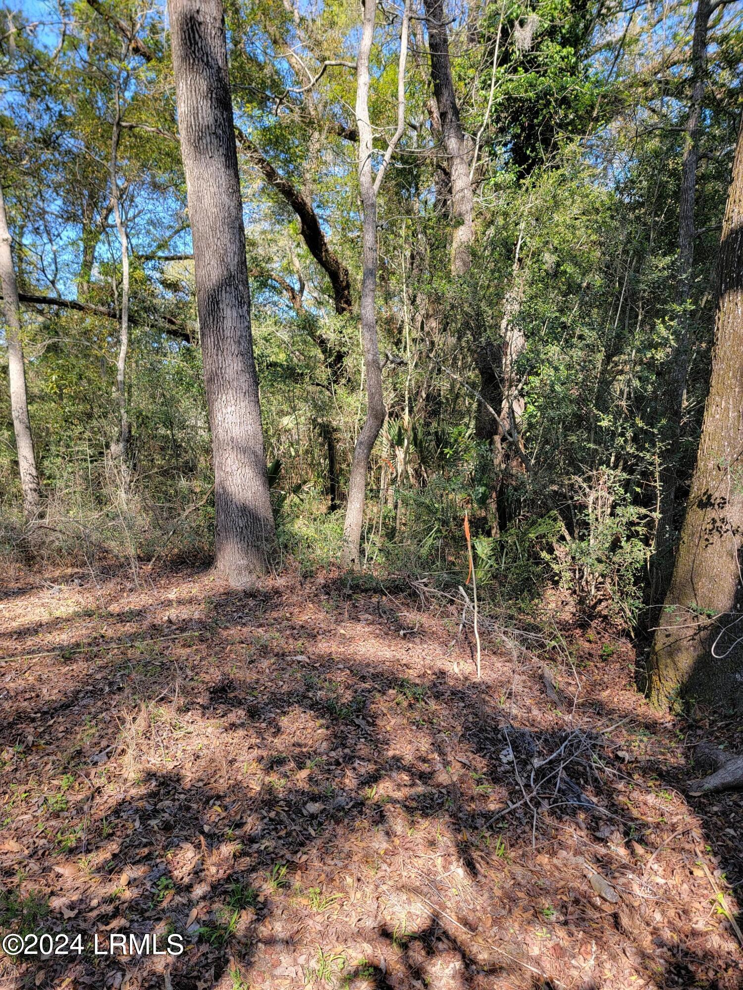 980 Sams Point Road Beaufort, SC 29907 - Photo 4 of 20 20240319_155737