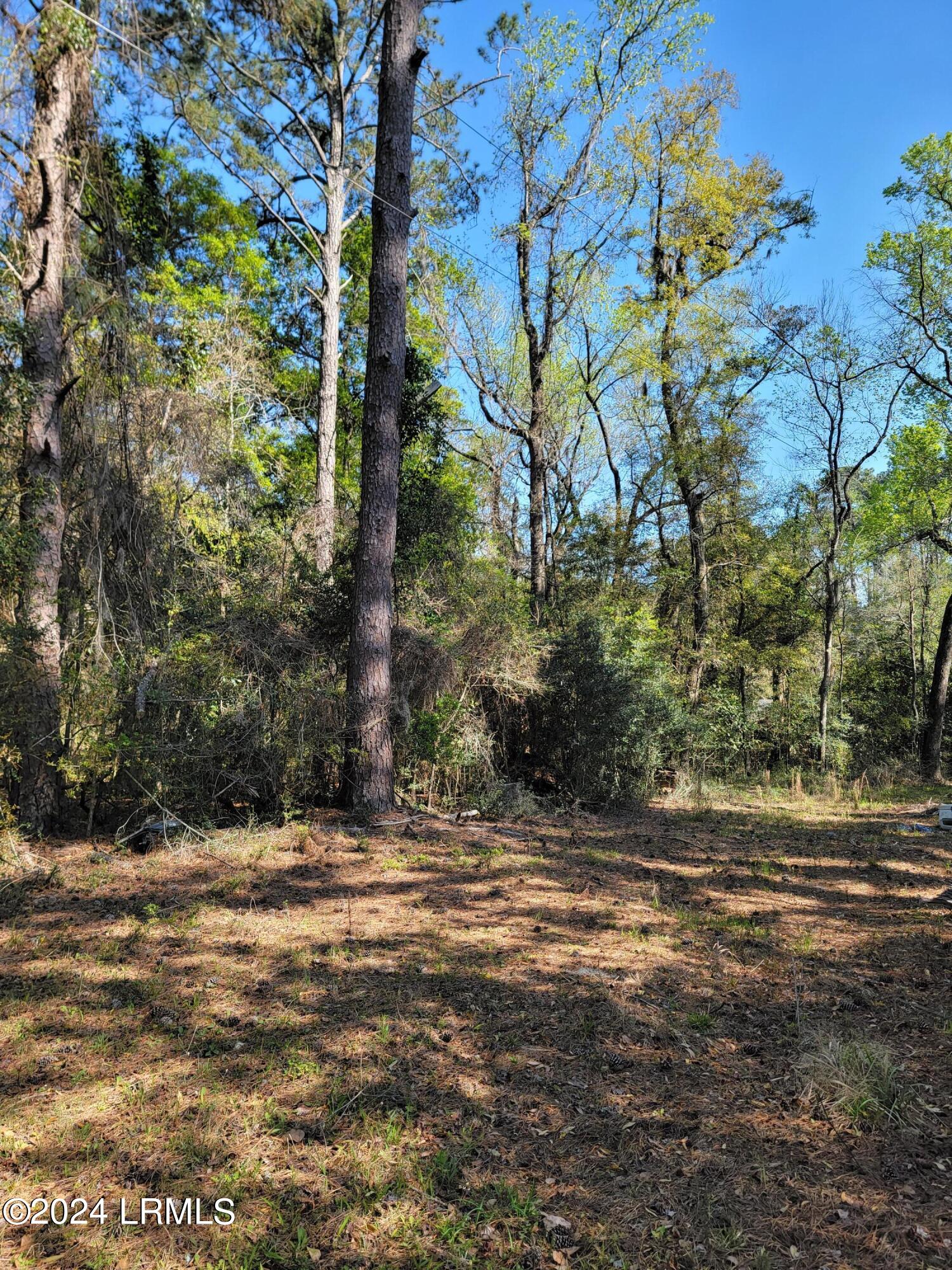 980 Sams Point Road Beaufort, SC 29907 - Photo 6 of 20 20240319_155841