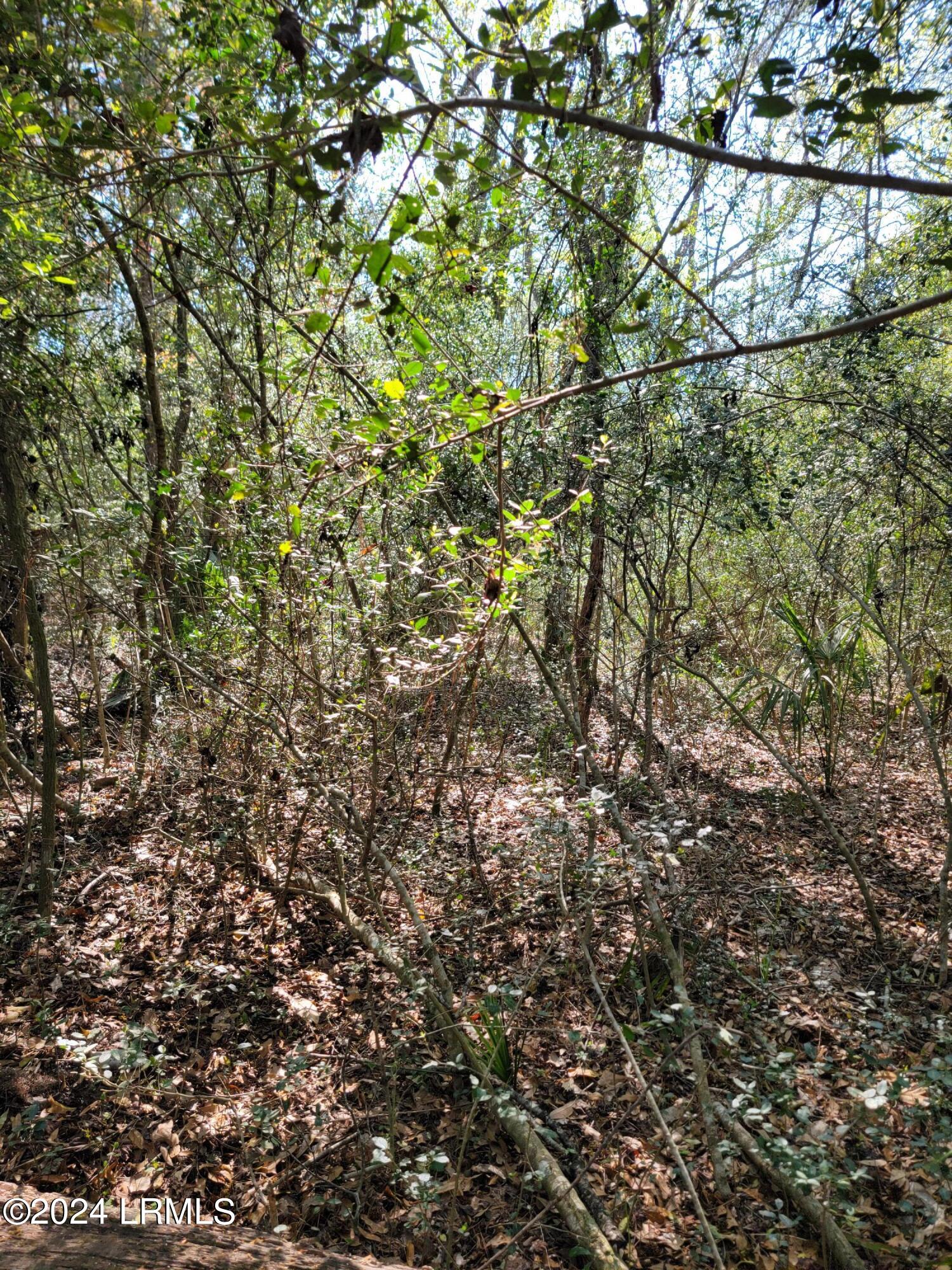 980 Sams Point Road Beaufort, SC 29907 - Photo 8 of 20 20240319_155719