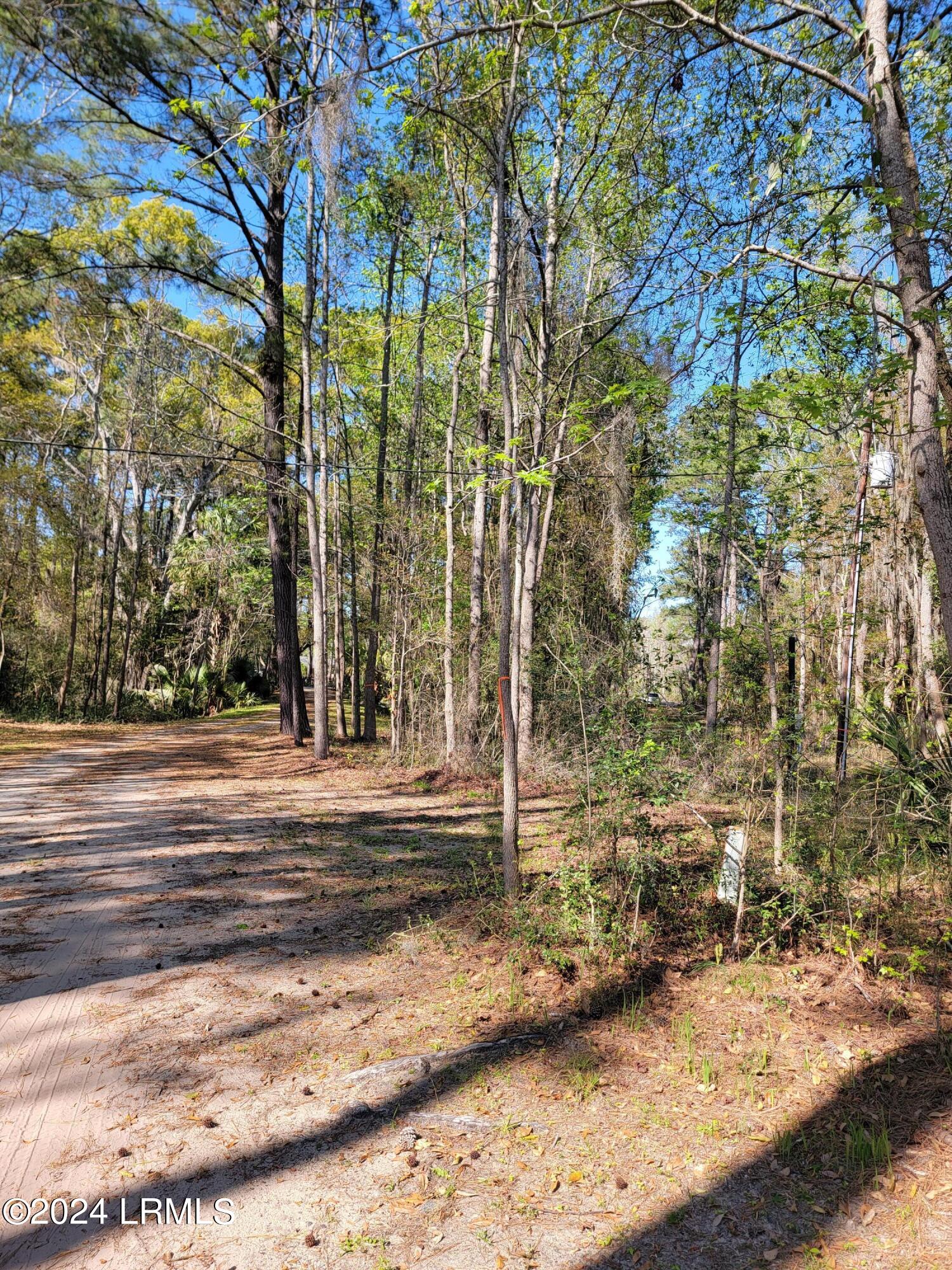 980 Sams Point Road Beaufort, SC 29907 - Photo 9 of 20 20240319_155904