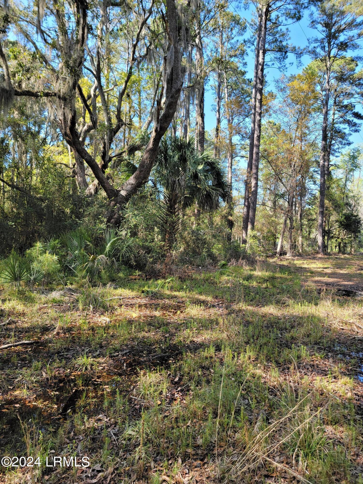 980 Sams Point Road Beaufort, SC 29907 - Photo 10 of 20 20240319_160030