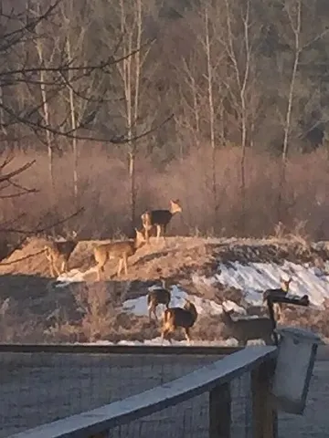 $440,000 | 371 North Stiles Road, Ludington, MI 49431