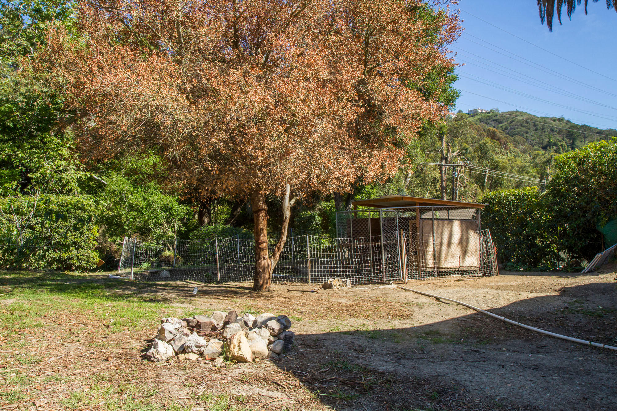 1709 Sycamore Canyon Road Santa Barbara, CA 93108 - Photo 5 of 6 Chicken Shack