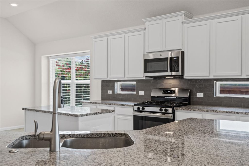 132 Vino Rossi Road Georgetown, TX 78628 - Photo 10 of 35 Granite Counters, a 60/40 undermount sink, gooseneck faucet, stainless steel appliances, and gas cooking, Oh My!