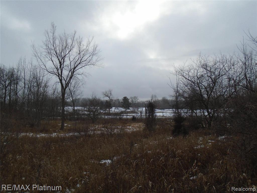 V/l Center Road Fenton, MI 48430 - Photo 5 of 6