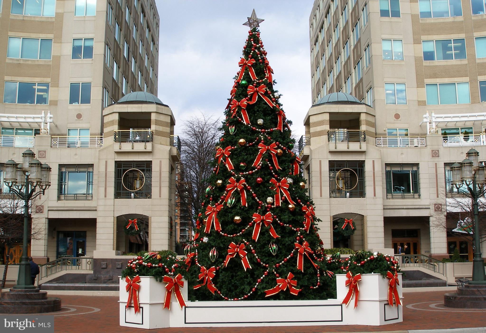 11990 Market Street, Unit 1301 Reston, VA 20190 - Photo 62 of 83 RTC Holiday Tree