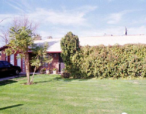 Primary Photo