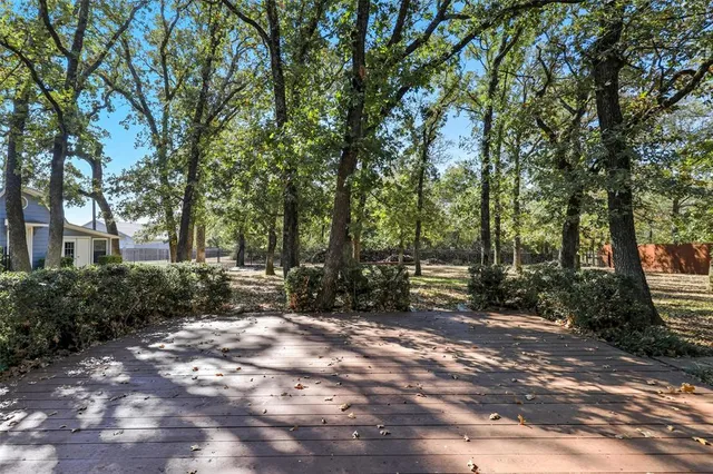 a view of backyard with green space