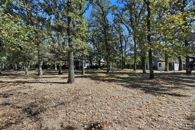 a view of backyard with green space