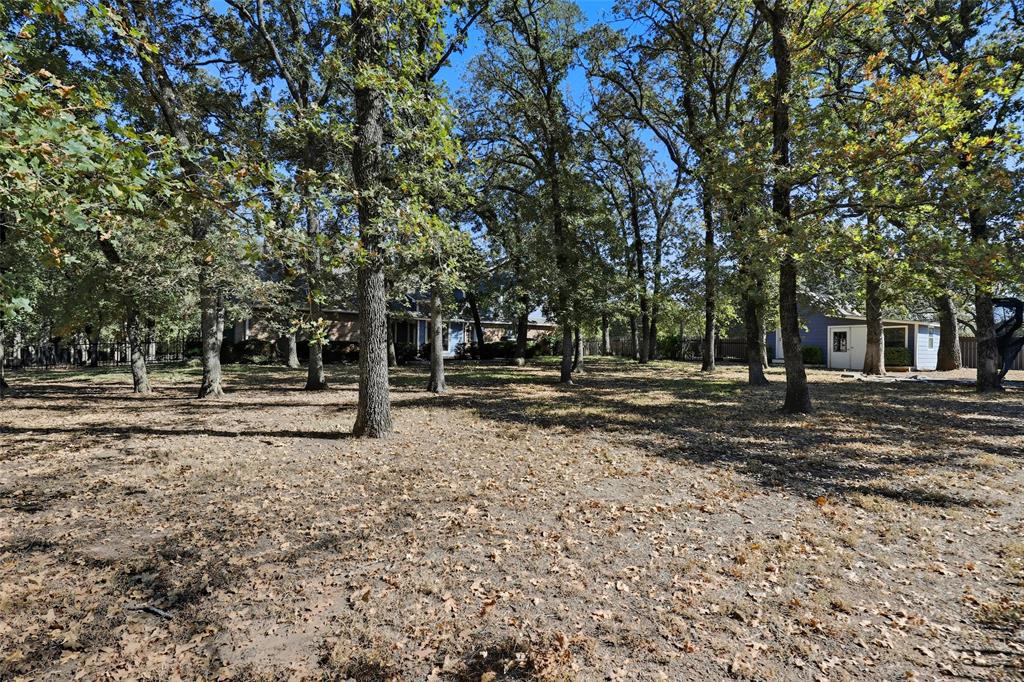 6140 Dick Price Road Fort Worth, TX 76140 - Photo 37 of 40 a view of backyard with green space