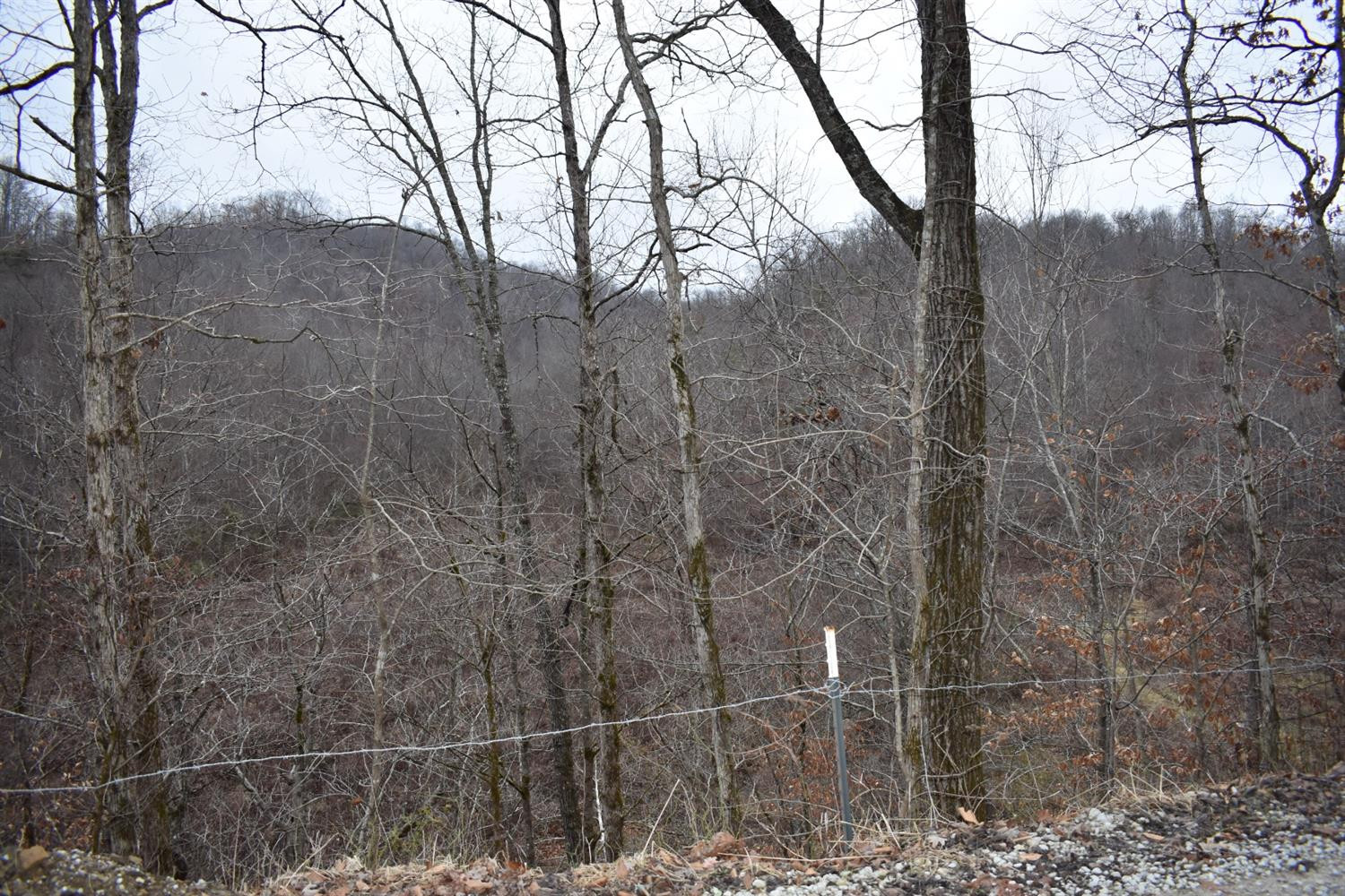 9999 East Crawfish Road Manchester, KY 40962 - Photo 10 of 52 Photo 10