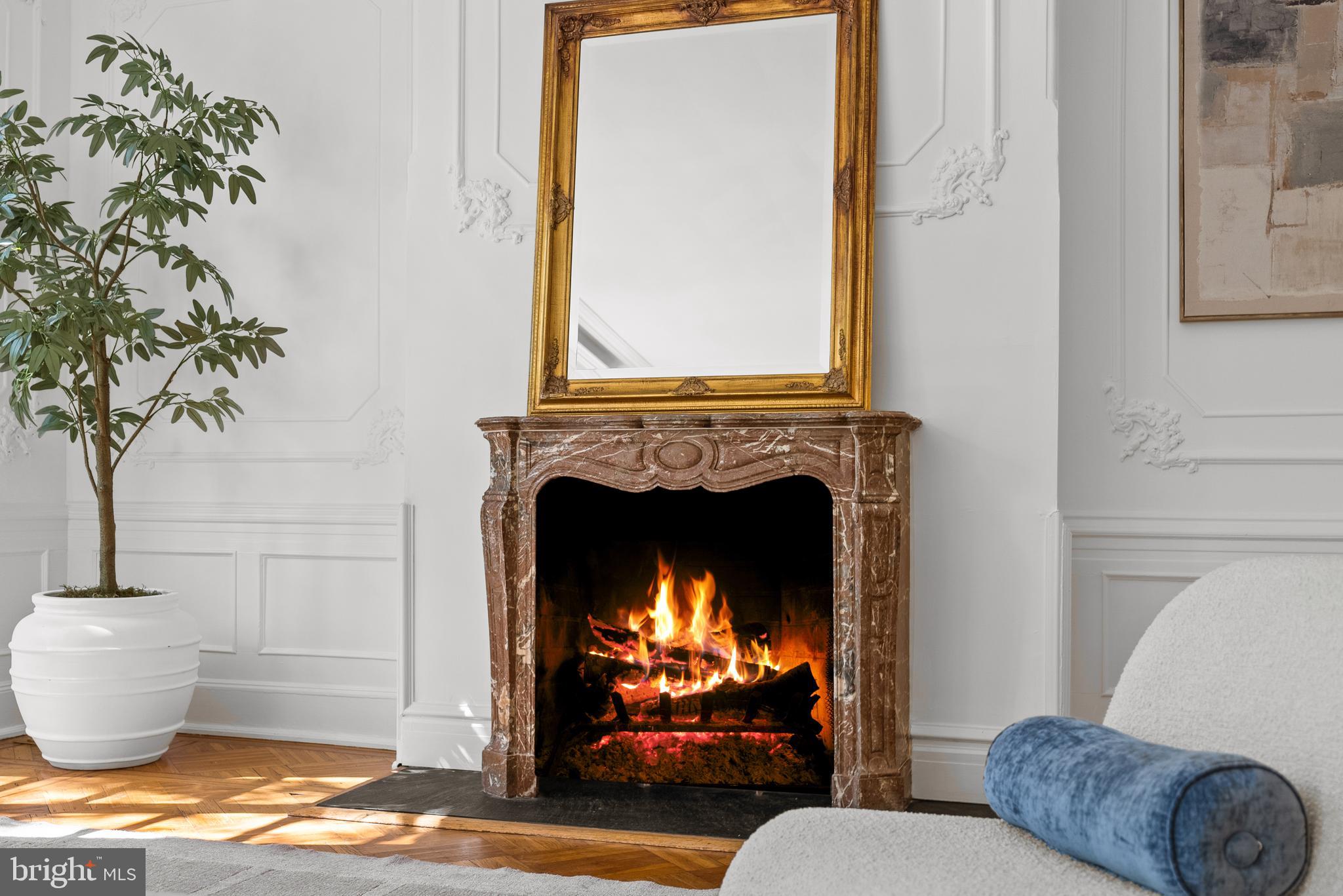 2125 Bancroft Place Northwest Washington, DC 20008 - Photo 11 of 48 a living room with furniture and a fireplace