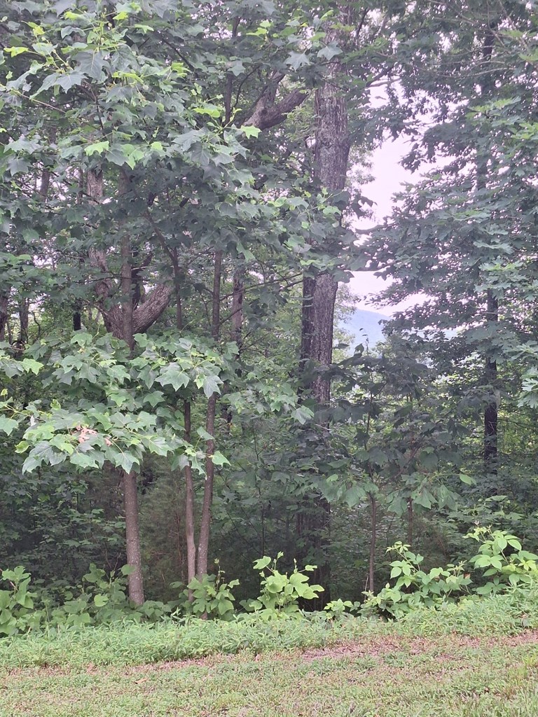 274 Andes Ridge Morganton, GA 30560 - Photo 7 of 24 GA 136 Entrance