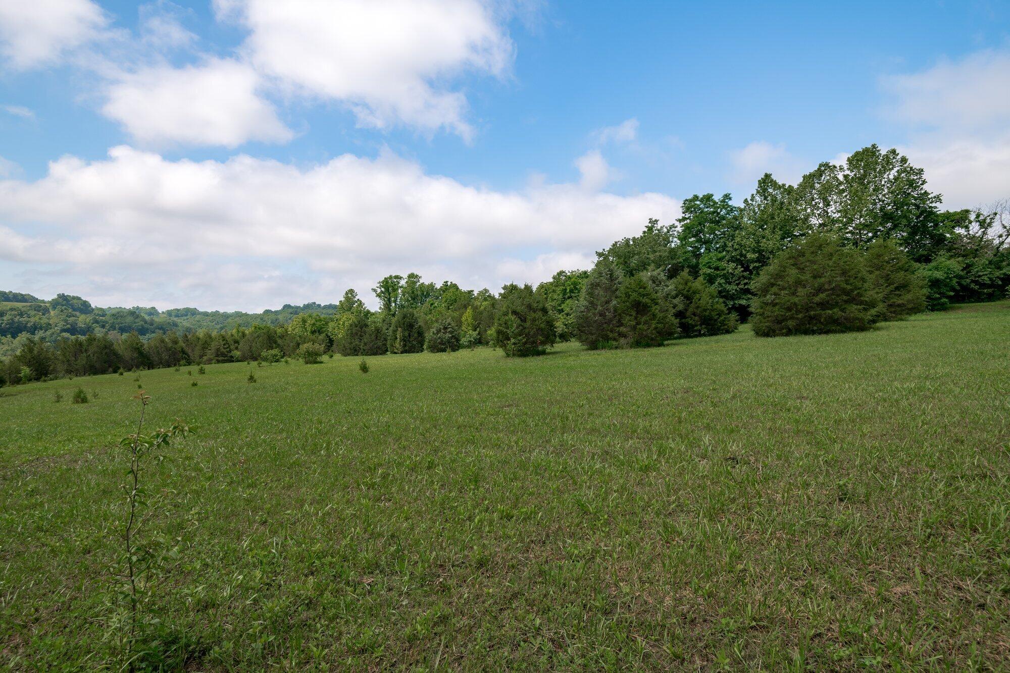 15850 Irvine Road Winchester, KY 40391 - Photo 41 of 63 042-15850_irvine_rd_6_12_21-highrez.jpg-