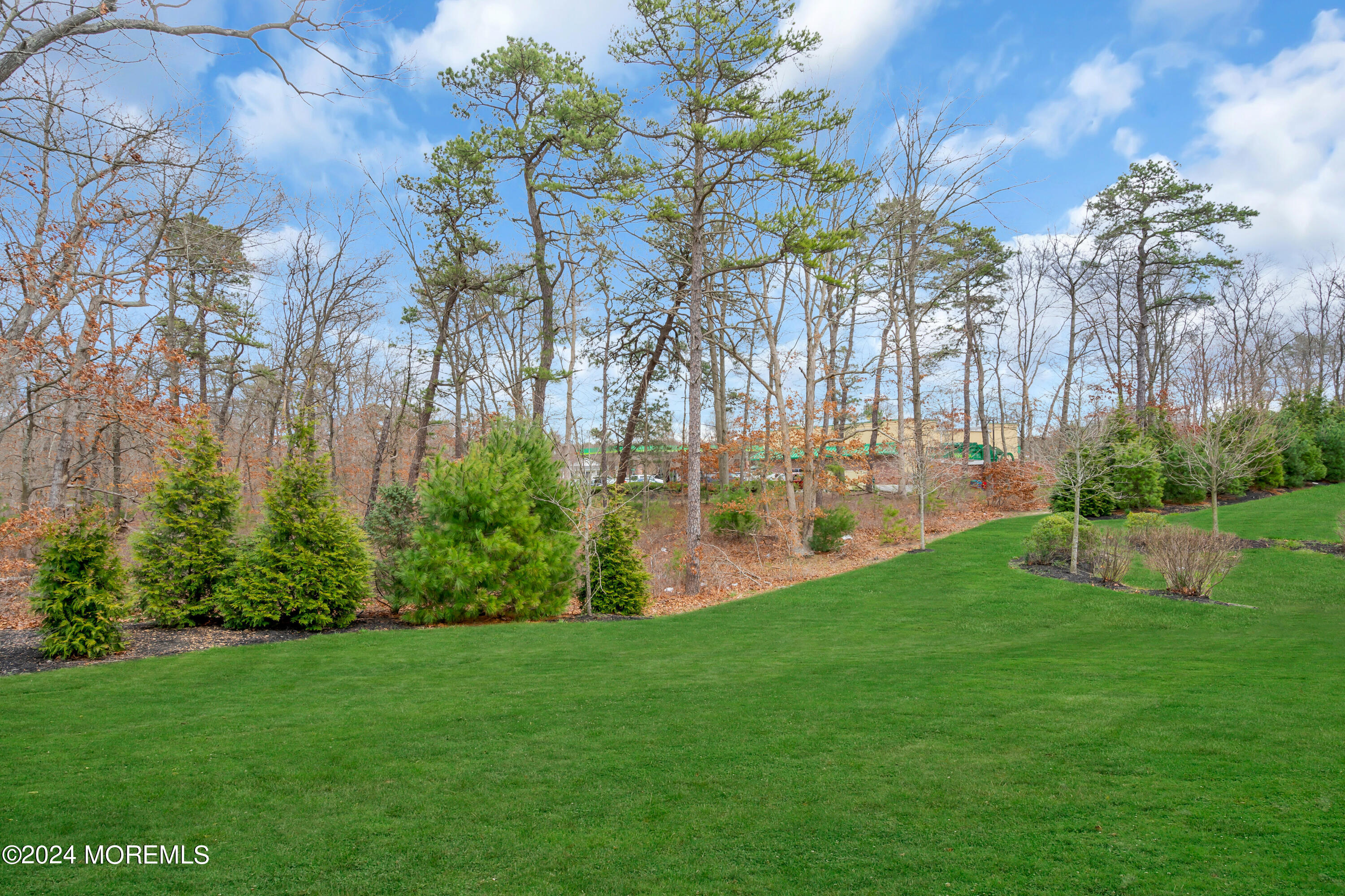 20 Rockingham Way Manchester Township, NJ 08759 - Photo 40 of 40 a view of back yard