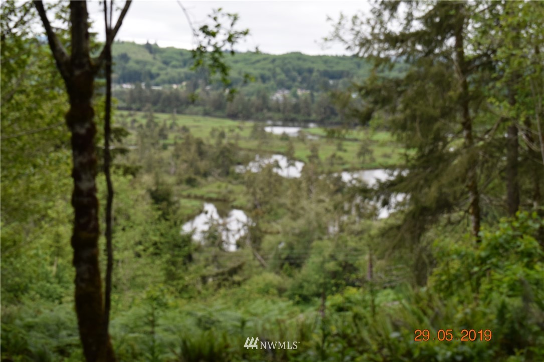 337 Monohon Landing Road Raymond, WA 98577 - Photo 19 of 22 Gallery Image 19