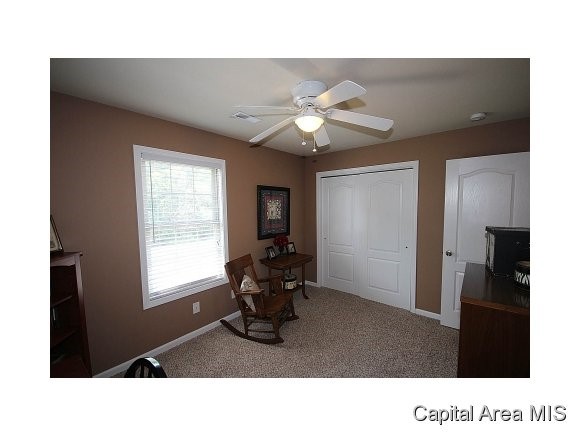 4108 Garry Drive Springfield, IL 62712 - Photo 15 of 24 Gallery Image 15