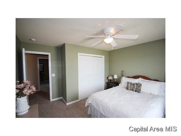 4108 Garry Drive Springfield, IL 62712 - Photo 17 of 24 Gallery Image 17