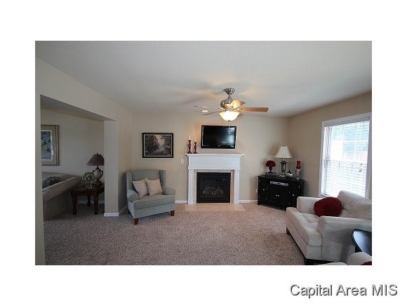 4108 Garry Drive Springfield, IL 62712 - Photo 5 of 24 Gallery Image 5