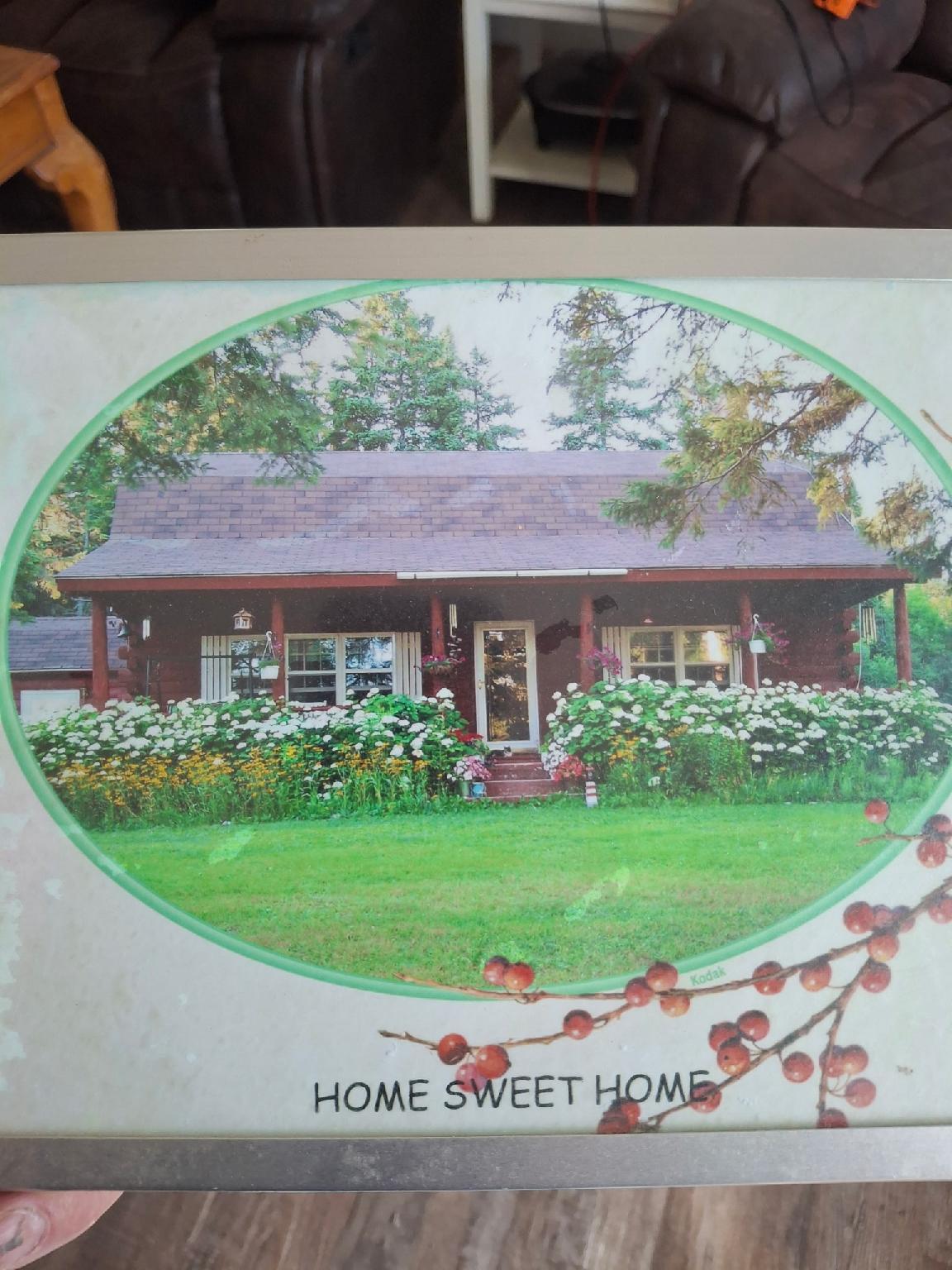 382 Wrightville Road Ashland, ME 04732 - Photo 2 of 47 Framed picture of house w hydrangas