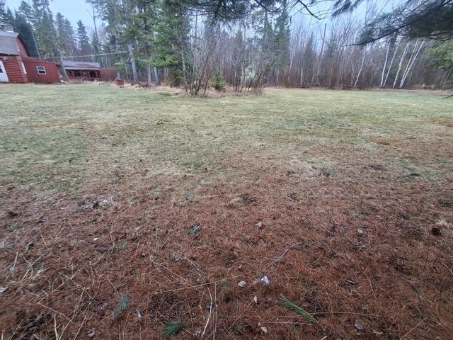 382 Wrightville Road Ashland, ME 04732 - Photo 43 of 46 Back yard