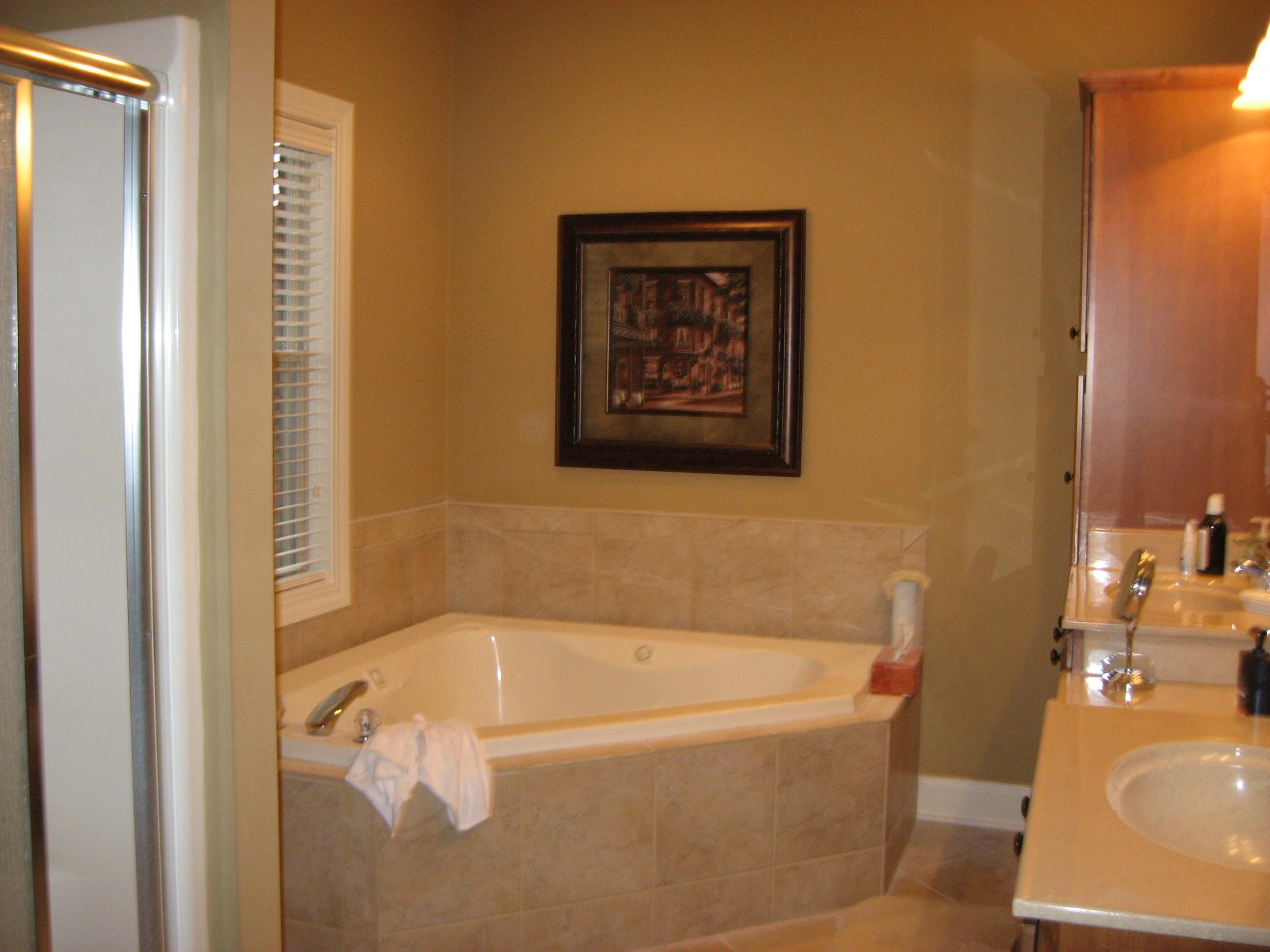 145 Hughes Road Greenback, TN 37742 - Photo 15 of 30 Jetted Tub - Master Bathroom
