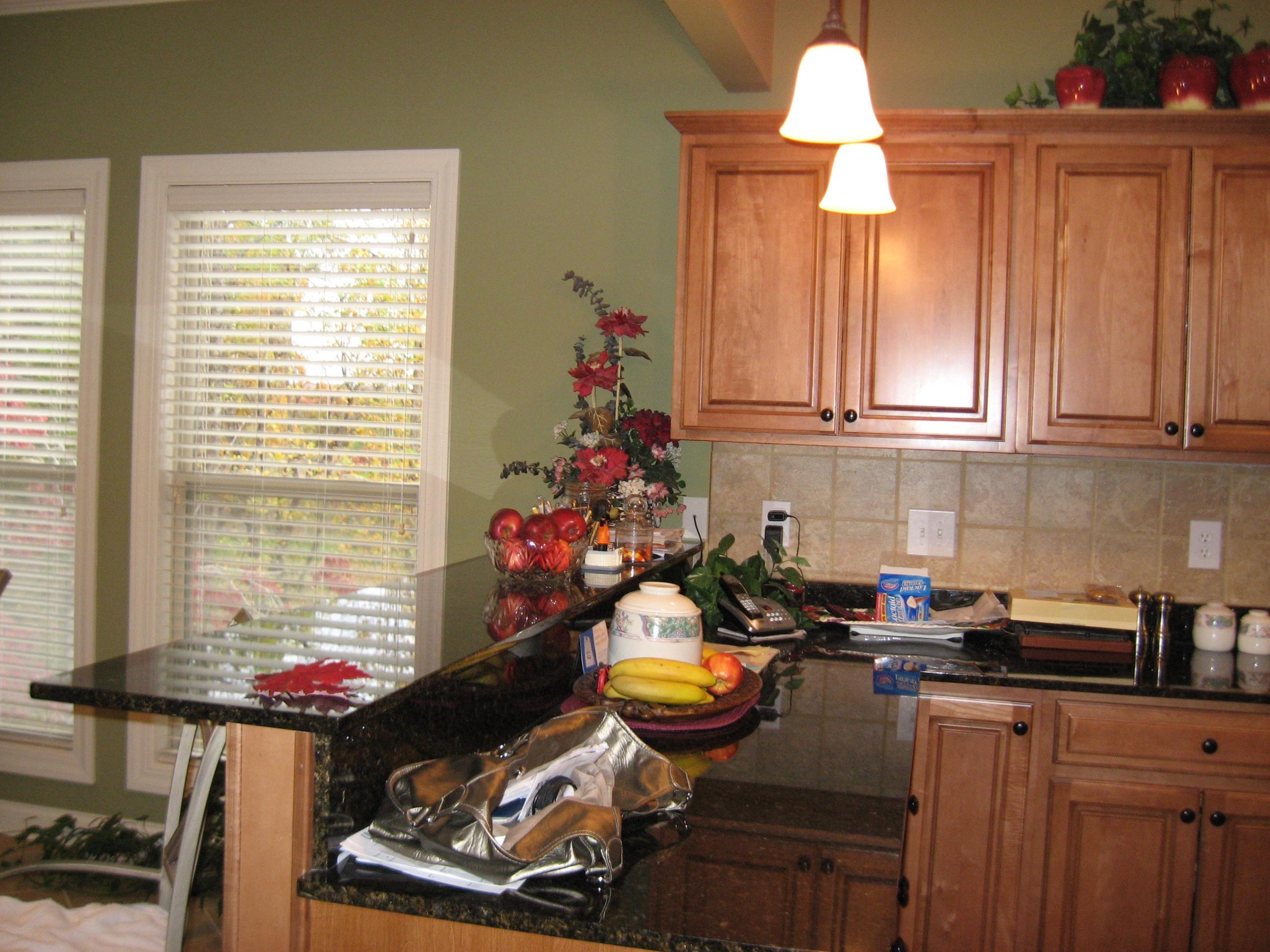 145 Hughes Road Greenback, TN 37742 - Photo 7 of 30 Lots of Counter and Storage Space