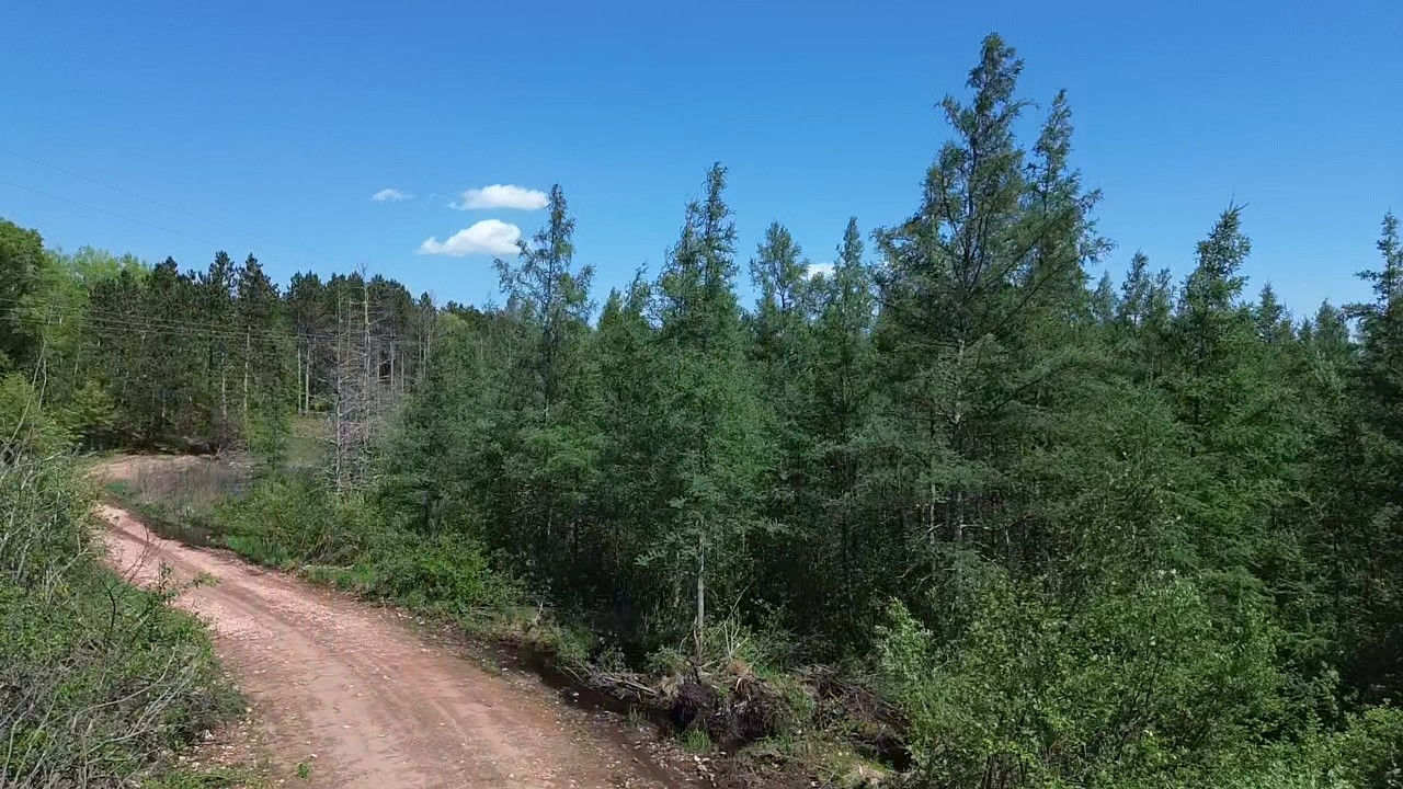 349 X 5th Avenue Shell Lake, WI 54871 - Photo 16 of 37