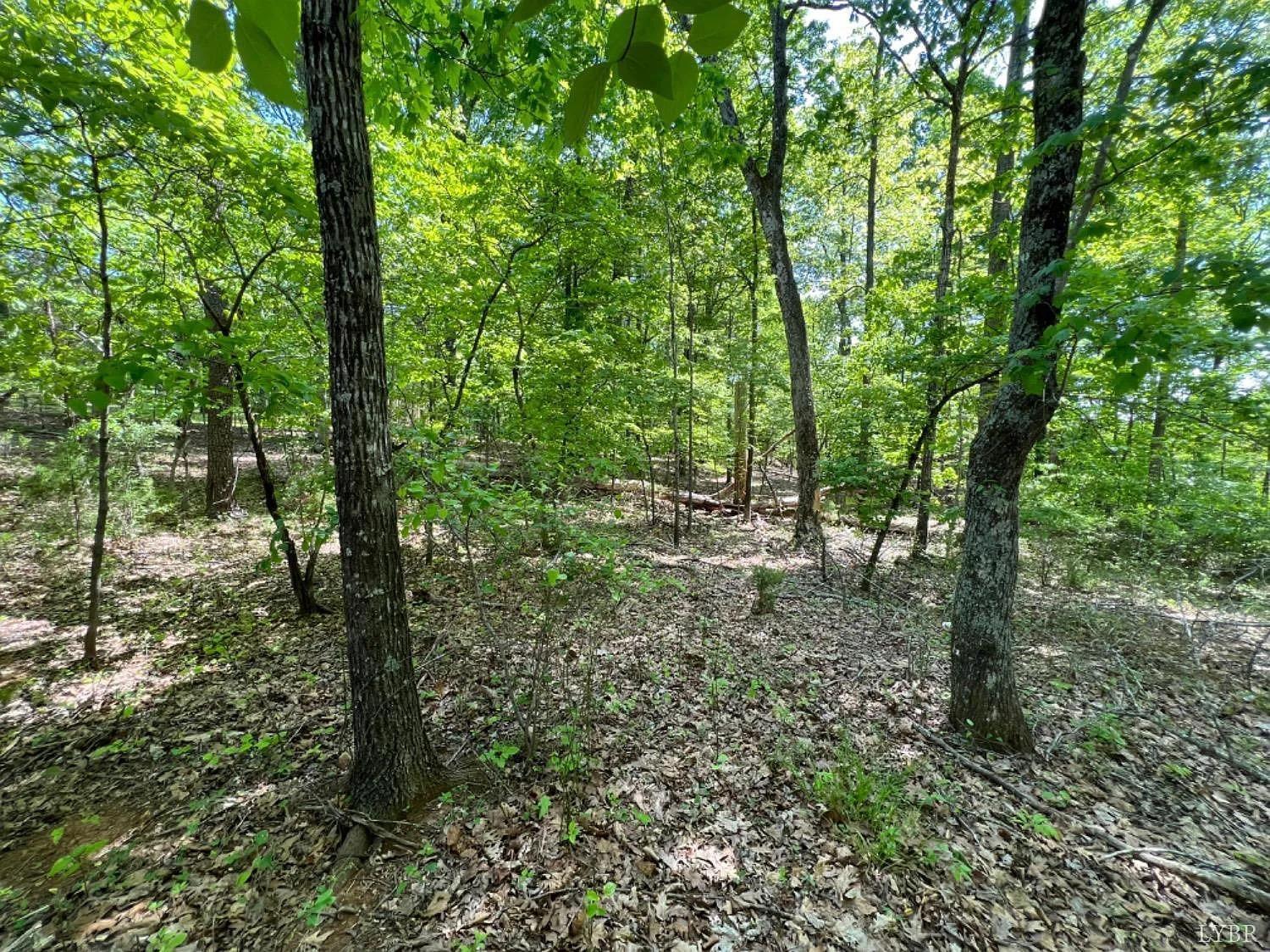2 Buccaneer Road Moneta, VA 24121 - Photo 1 of 8 a view of forest