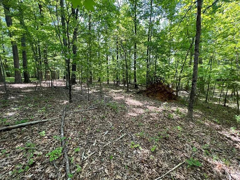 2 Buccaneer Road Moneta, VA 24121 - Photo 2 of 8 a big yard with lots of green space and trees