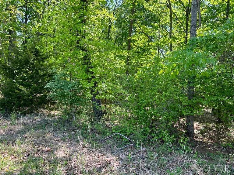 2 Buccaneer Road Moneta, VA 24121 - Photo 3 of 8 a view of a forest with lots of trees