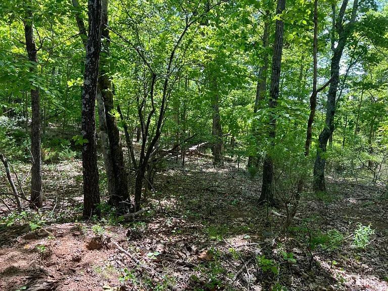2 Buccaneer Road Moneta, VA 24121 - Photo 4 of 8 a view of a forest with trees in the background