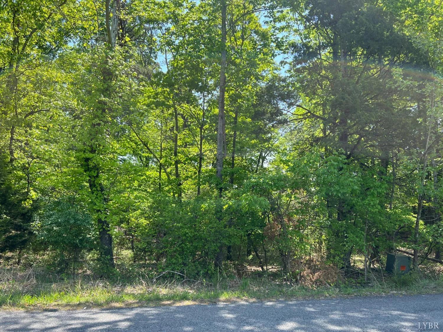 2 Buccaneer Road Moneta, VA 24121 - Photo 5 of 8 a view of a forest with lots of trees