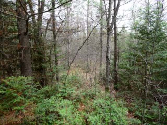 Near Axen Road Gleason, WI 54435 - Photo 8 of 9 Gallery Image 8