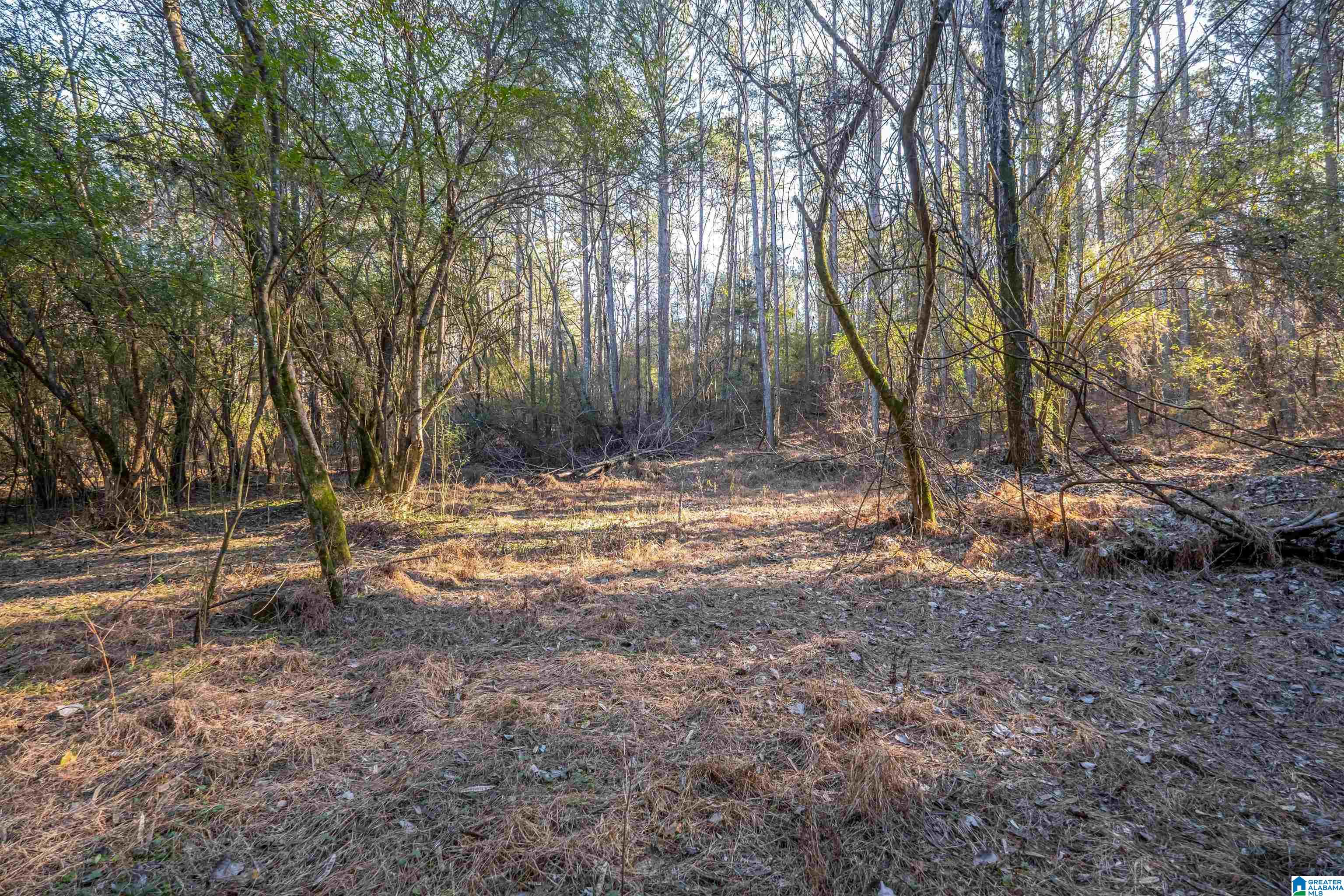 2040 Brookside Road, Unit 1 Mount Olive, AL 35117 - Photo 20 of 29