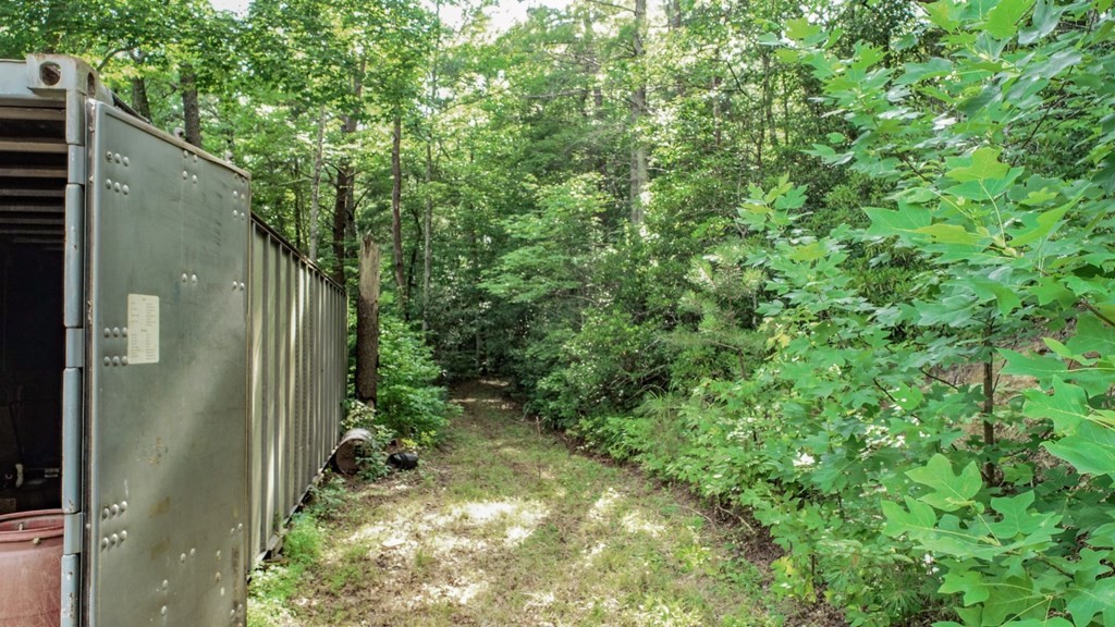 1634 Green Corner Road Hartford, TN 37753 - Photo 11 of 40 Gallery Image 11
