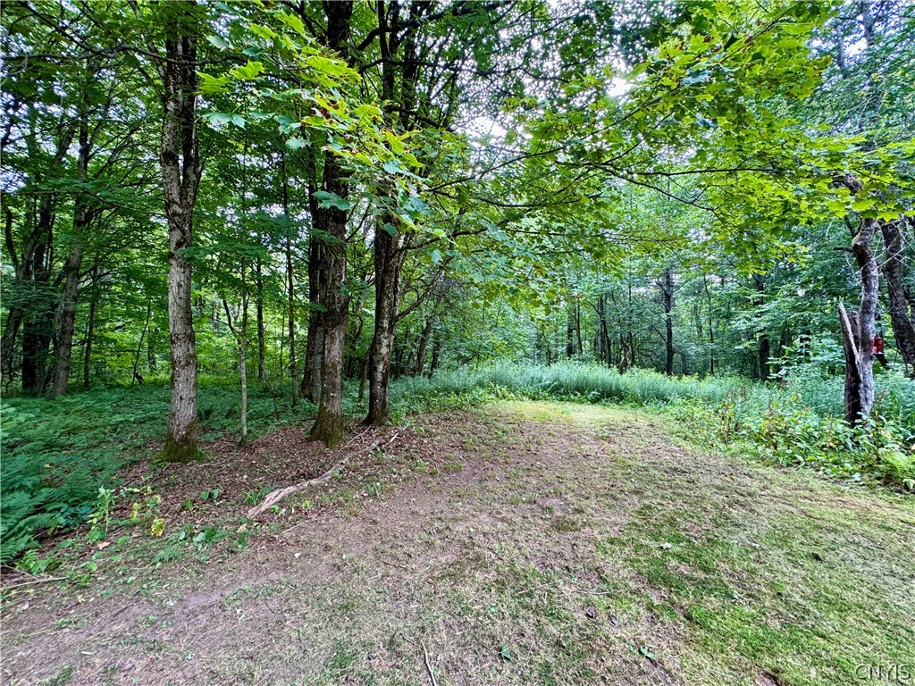 315 Old State Road Redfield, NY 13437 - Photo 17 of 17 Gallery Image 17