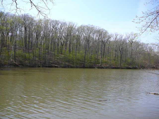 7799 Cubbage Road, Unit LOT B Westerville, OH 43081 - Photo 8 of 8 Gallery Image 8