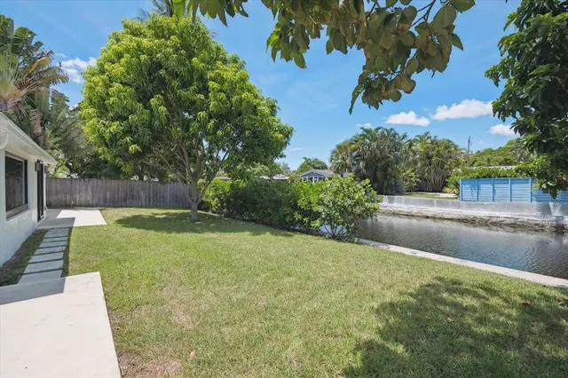 a view of a backyard with a tree