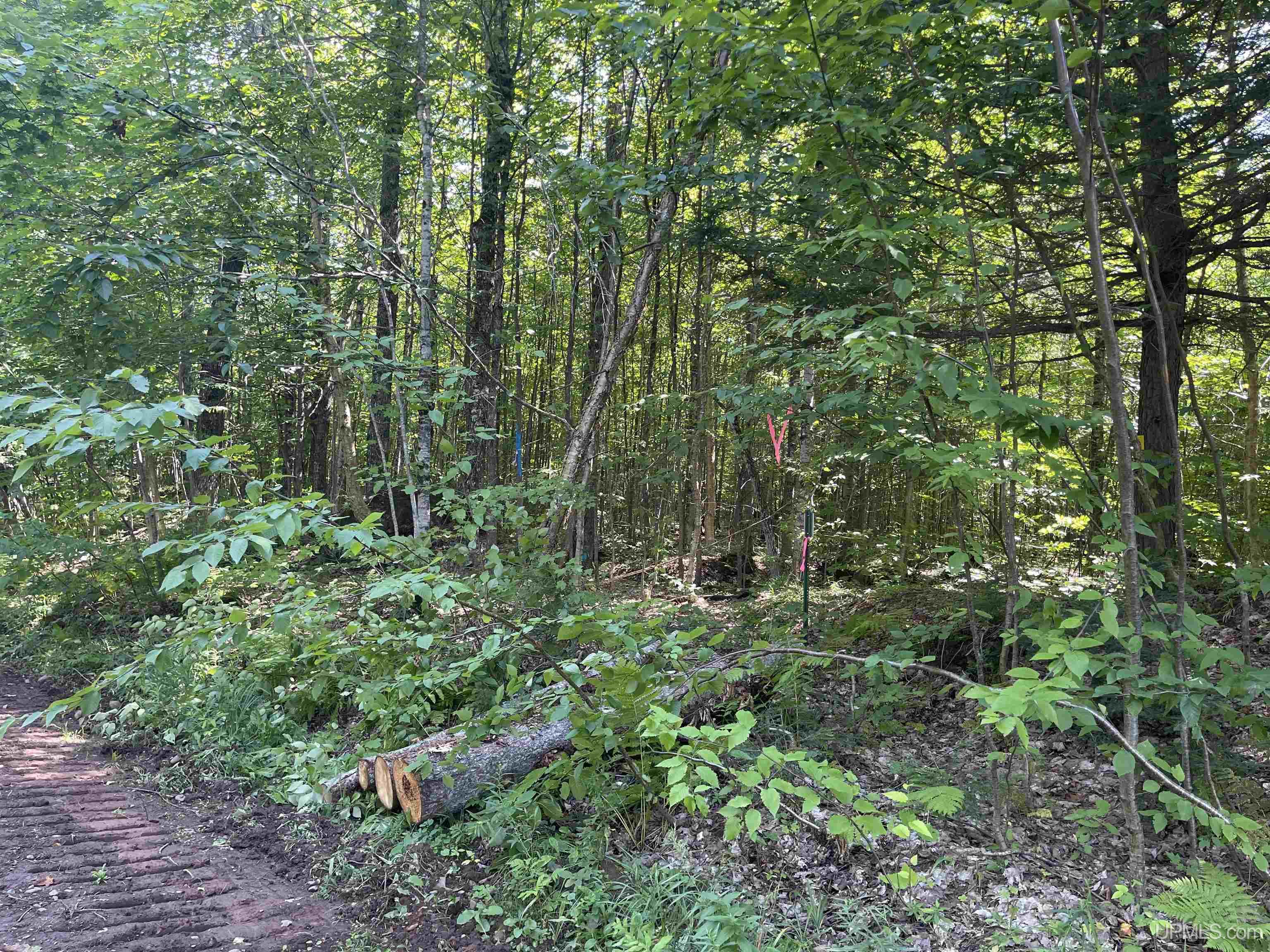 Tbd Tbd Sand Island Road Bessemer, MI 49911 - Photo 2 of 10
