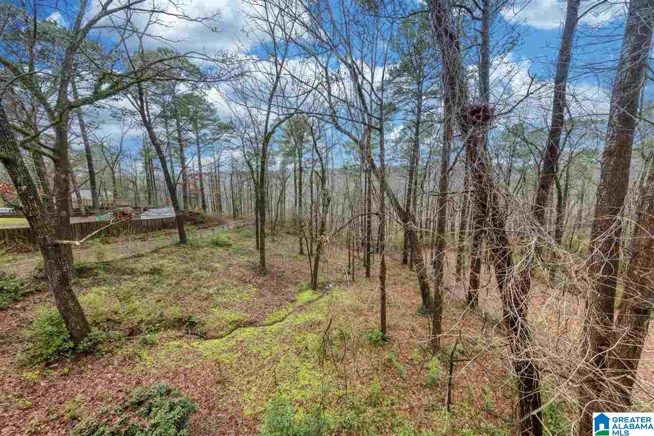 3342 Overton Road Birmingham, AL 35223 - Photo 6 of 47