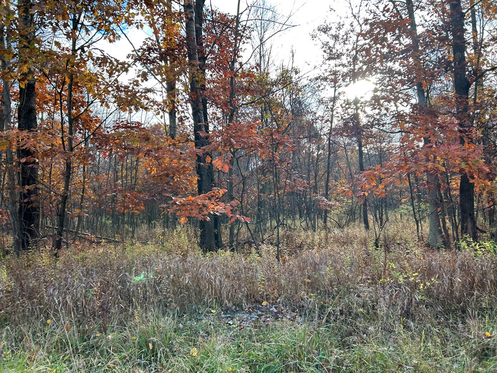 810 Carnes School Road Seneca, PA 16346 - Photo 20 of 22 Gallery Image 20