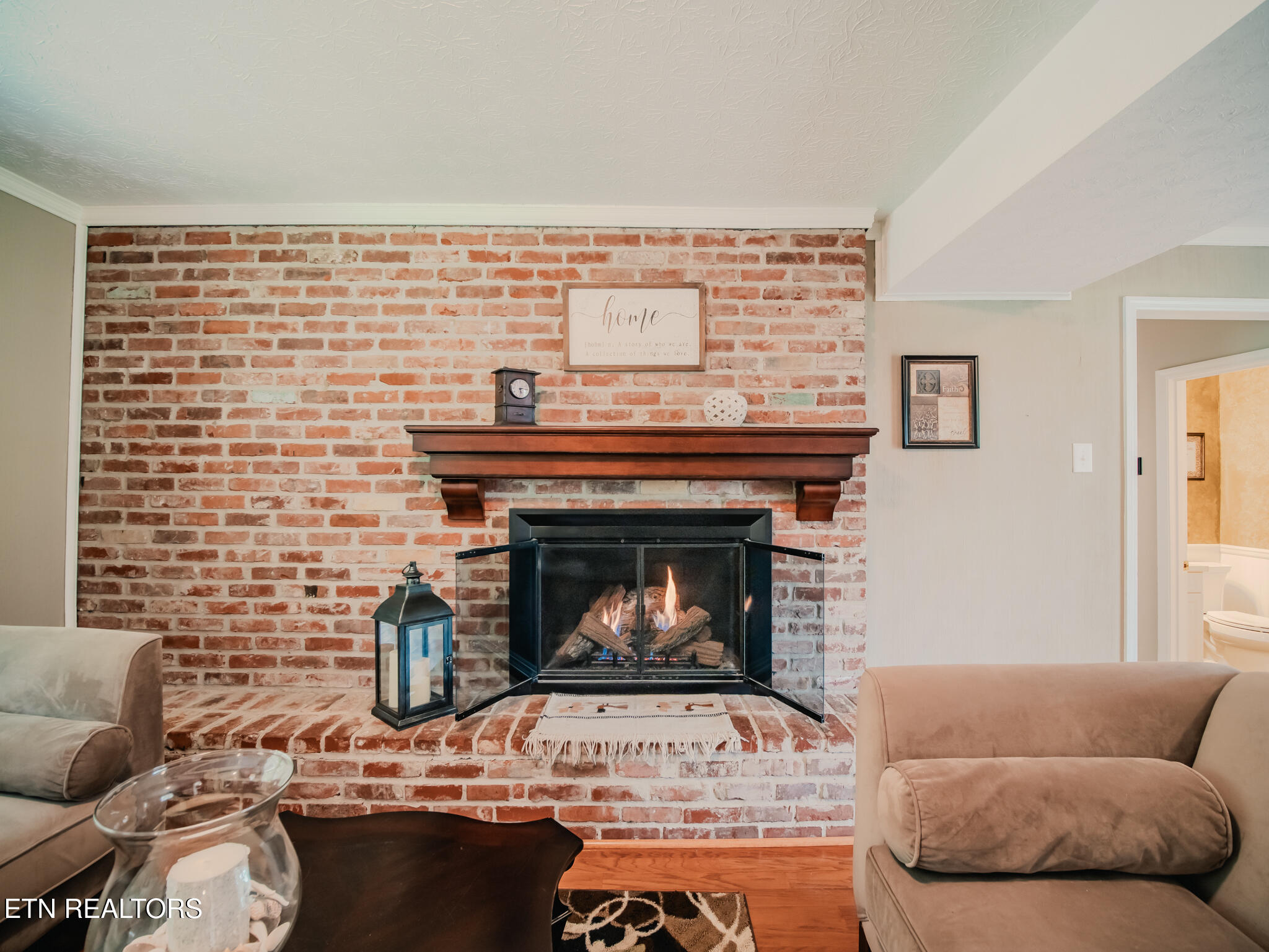 1107 Rain Tree Road Knoxville, TN 37923 - Photo 27 of 57 Living Room Fireplace