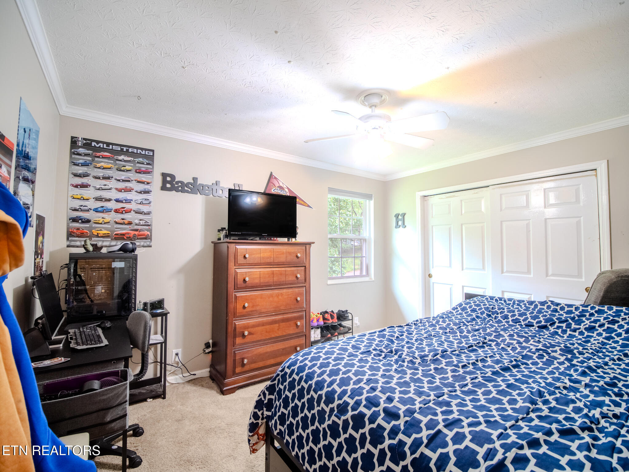 1107 Rain Tree Road Knoxville, TN 37923 - Photo 49 of 57 Bedroom 4
