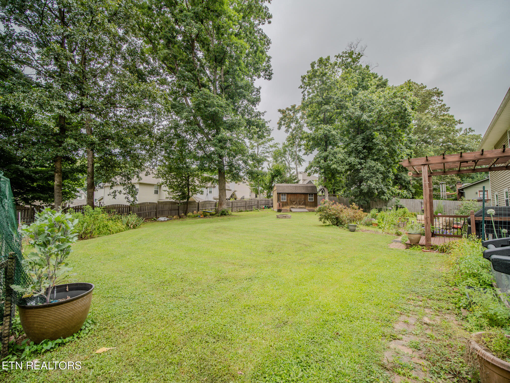 1107 Rain Tree Road Knoxville, TN 37923 - Photo 53 of 57 Backyard