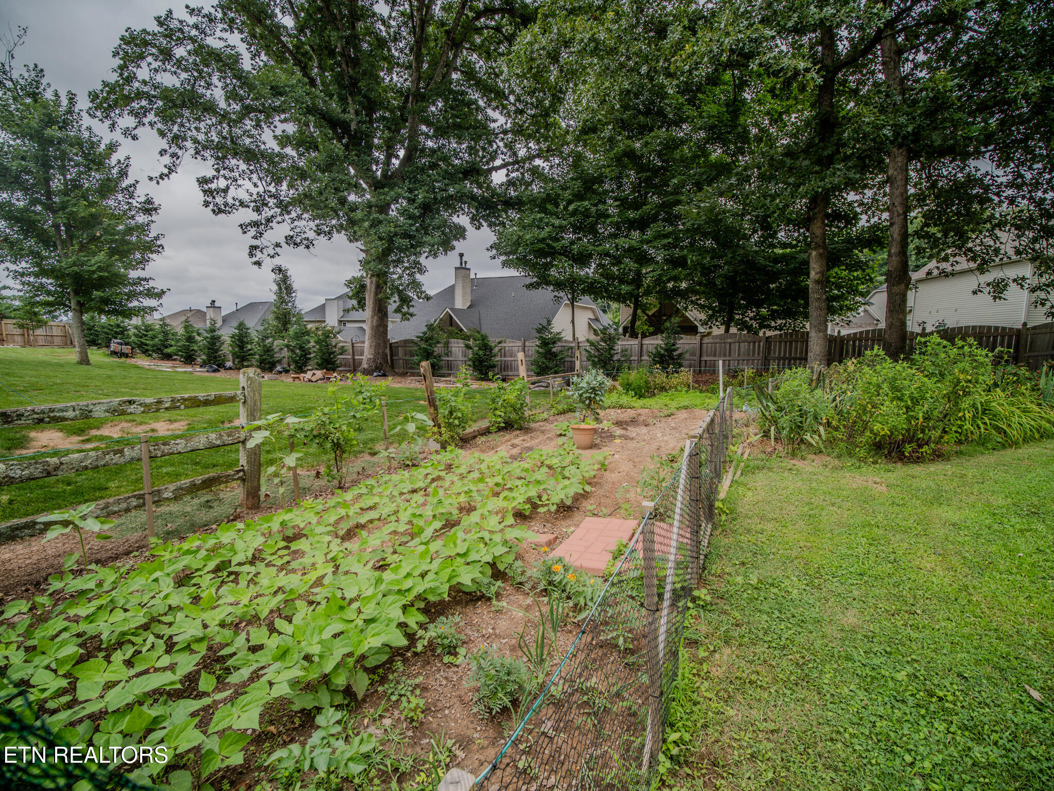 1107 Rain Tree Road Knoxville, TN 37923 - Photo 55 of 57 Backyard