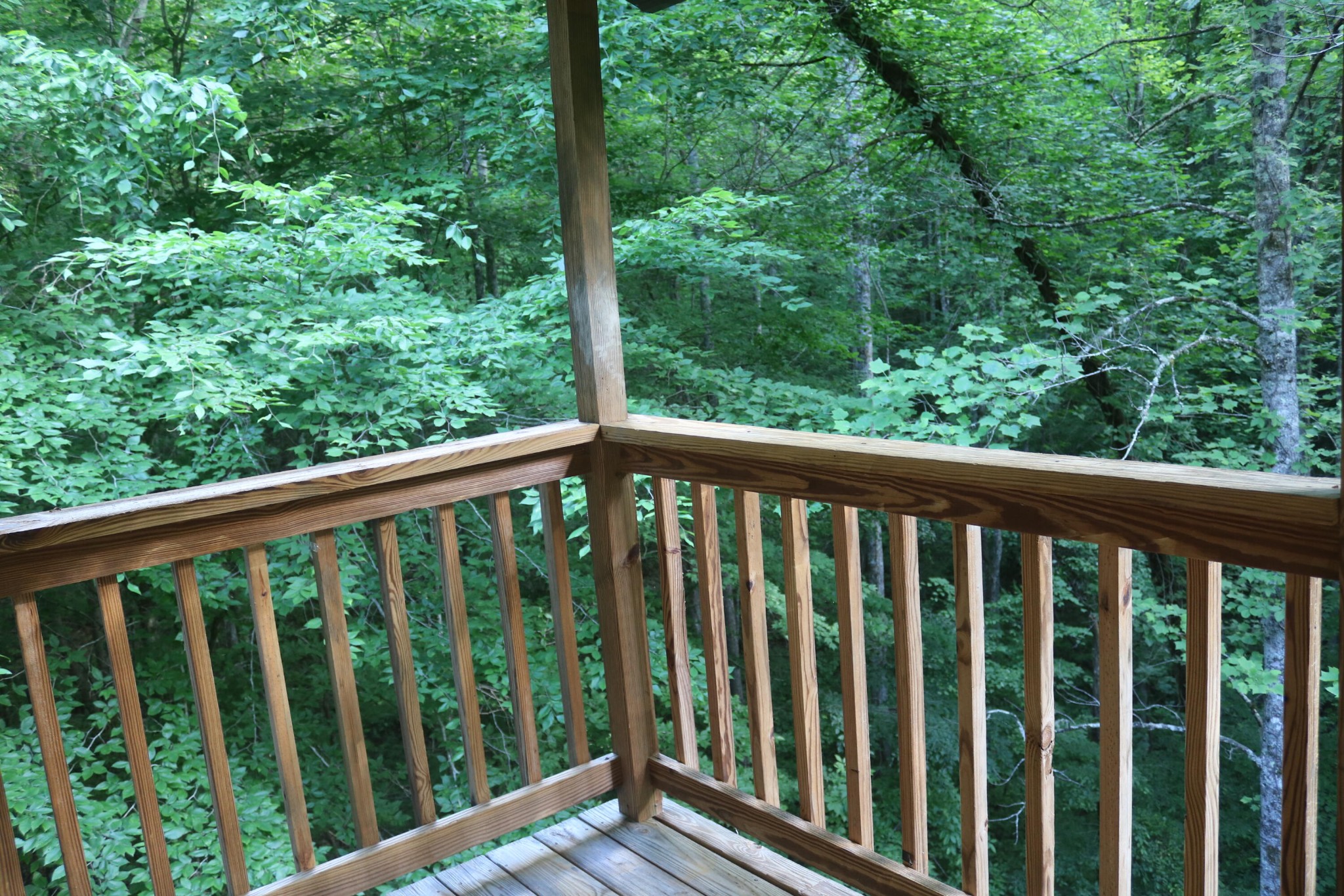 3255 Rubye Road Sevierville, TN 37876 - Photo 13 of 17